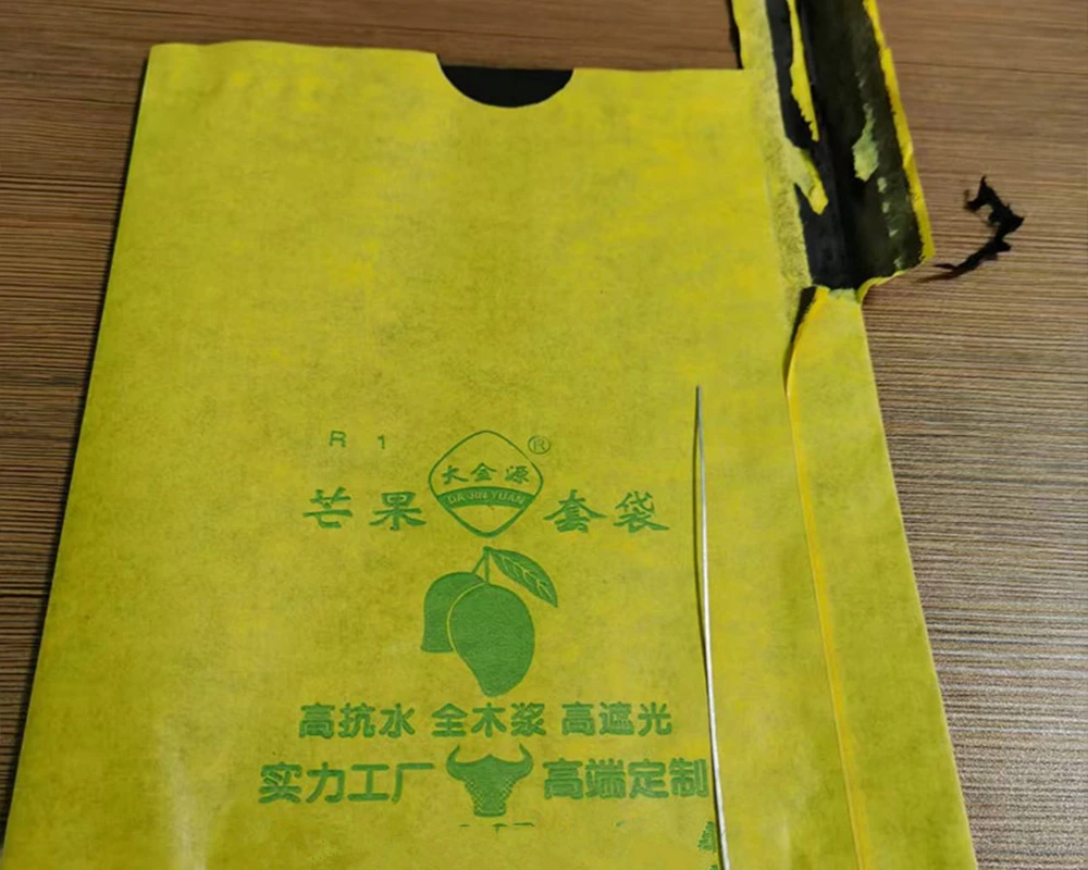 MANGO PAPER BAG
