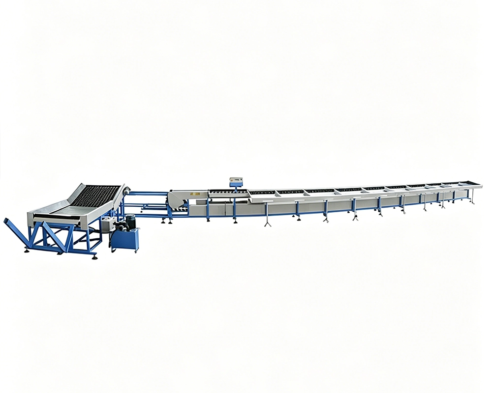 FRUIT WASHING WAXING AND GRADING MACHINE